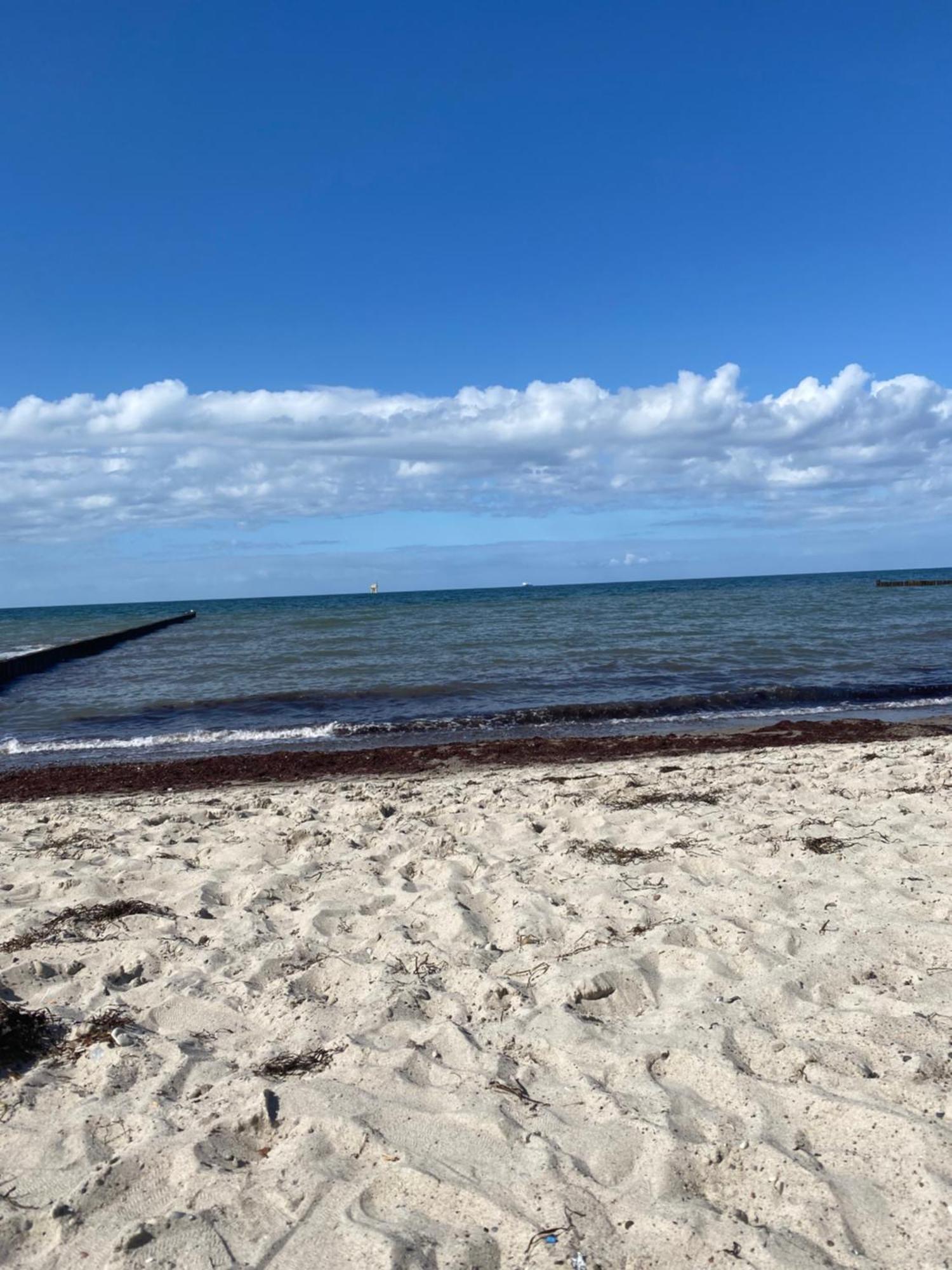 Ostsee-Ferienwohnung-Lipsia Ostseebad Nienhagen Kültér fotó